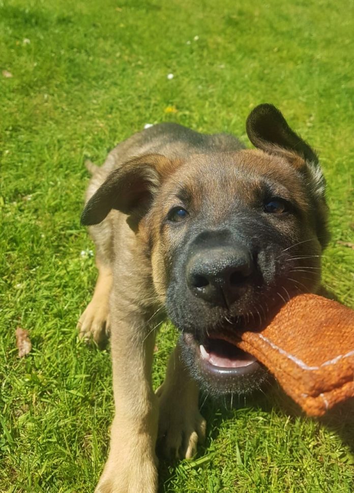 Foto: Bundespolizei